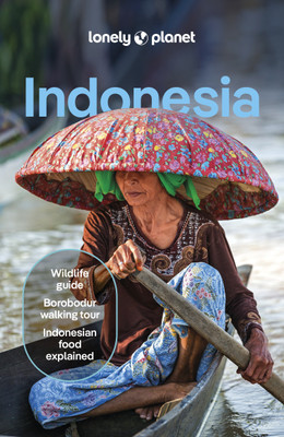 Lonely Planet Indonesia(English, Paperback, Lonely Planet David)