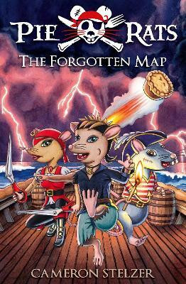 The Forgotten Map(English, Paperback, Stelzer Cameron)
