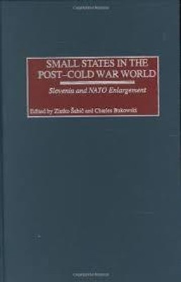 Small States in the Post-Cold War World(English, Hardcover, unknown)