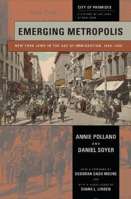Emerging Metropolis(English, Paperback, Polland Annie)