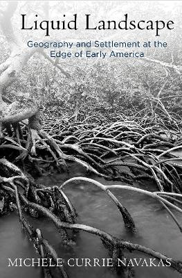 Liquid Landscape(English, Electronic book text, Navakas Michele Currie)