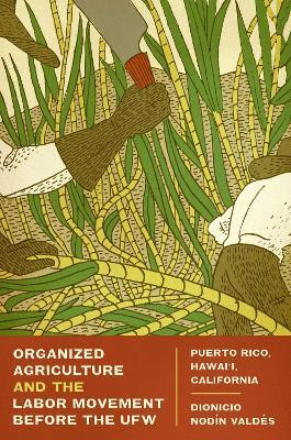 Organized Agriculture and the Labor Movement Before the UFW(English, Paperback, Valdes Dionicio Nodin)