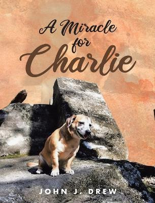 A Miracle for Charlie(English, Hardcover, Drew John J)