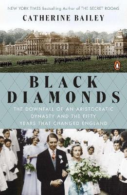 Black Diamonds(English, Paperback, Bailey Catherine)