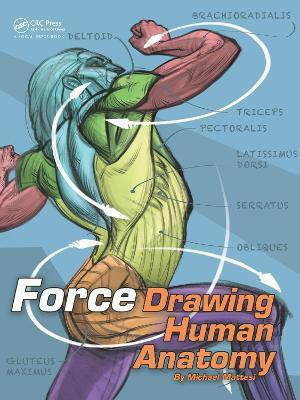 FORCE: Drawing Human Anatomy(English, Electronic book text, Mattesi Mike)