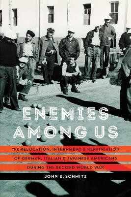 Enemies Among Us(English, Paperback, Schmitz John E.)