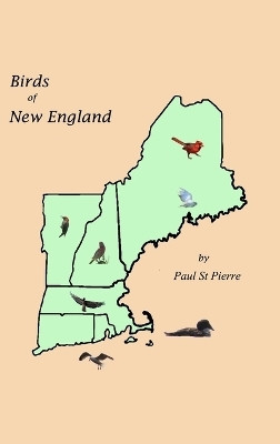 Birds of New England(English, Hardcover, Pierre Paul St)