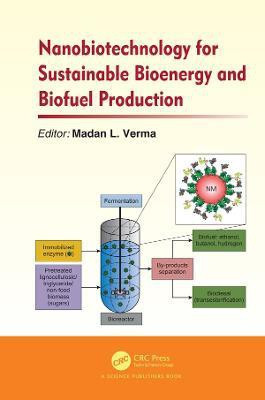 Nanobiotechnology for Sustainable Bioenergy and Biofuel Production(English, Electronic book text, unknown)
