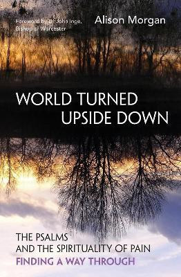 World Turned Upside Down(English, Paperback, Morgan Alison)