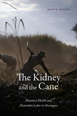 The Kidney and the Cane(English, Paperback, Nading Alex M.)