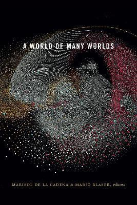 A World of Many Worlds(English, Paperback, unknown)