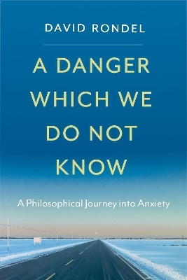 A Danger Which We Do Not Know(English, Hardcover, Rondel David)
