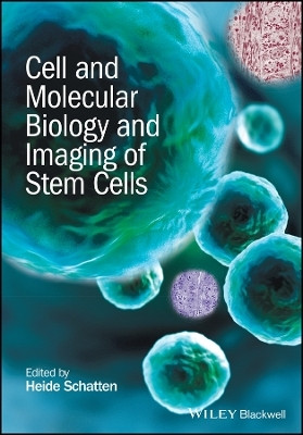 Cell and Molecular Biology and Imaging of Stem Cells(English, Other digital, Schatten H)
