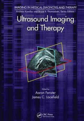 Ultrasound Imaging and Therapy(English, Paperback, unknown)