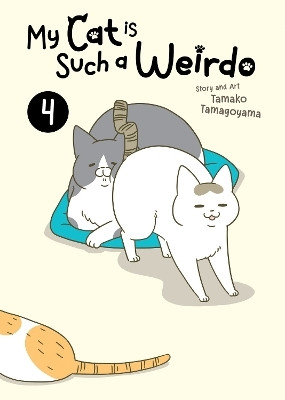 My Cat is Such a Weirdo Vol. 4(English, Paperback, Tamagoyama Tamako)