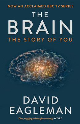 The Brain - the story of you (English, paperback, Eagleman David)(Paperback, Eagleman David)