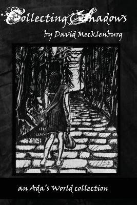 Collecting Shadows(English, Paperback, Mecklenburg David)