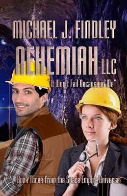 Nehemiah LLC(English, Paperback, Findley Michael J)