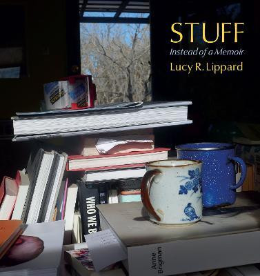 Stuff(English, Hardcover, Lippard Lucy R.)
