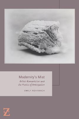 Modernity's Mist(English, Paperback, Rohrbach Emily)