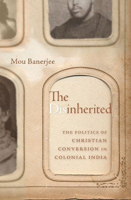 The Disinherited(English, Hardcover, Banerjee Mou)