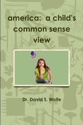 America: A Child's Common Sense View(English, Paperback, Wolfe David)
