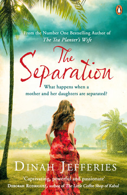 The Separation(English, Paperback, Jefferies Dinah)