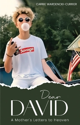 Dear David(English, Paperback, Wardencki-Currier Carrie)
