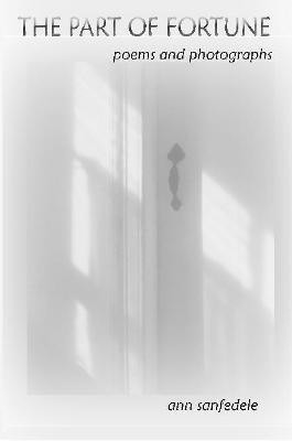 The Part of Fortune(English, Paperback, Sanfedele Ann)