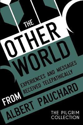 The Other World(English, Paperback, Pauchard Albert)