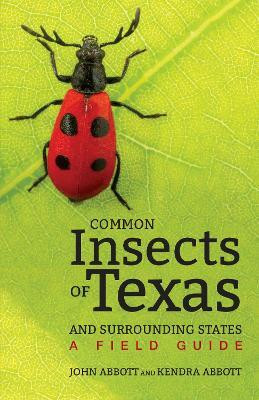 Common Insects of Texas and Surrounding States(English, Paperback, Abbott John C.)