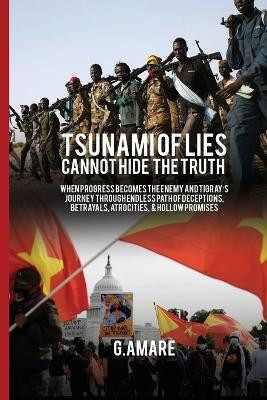A Tsunami of Lies Cannot Hide the Truth(English, Paperback, Amare G)