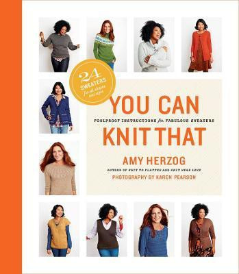 You Can Knit That(English, Paperback, Herzog Amy)