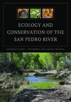 Ecology and Conservation of the San Pedro River(English, Paperback, unknown)