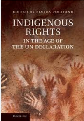 Indigenous Rights in the Age of the UN Declaration(English, Electronic book text, unknown)