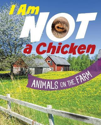 I Am Not a Chicken(English, Paperback, Bolte Mari)