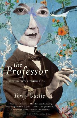 The Professor(English, Paperback, Castle Terry Professor of English)