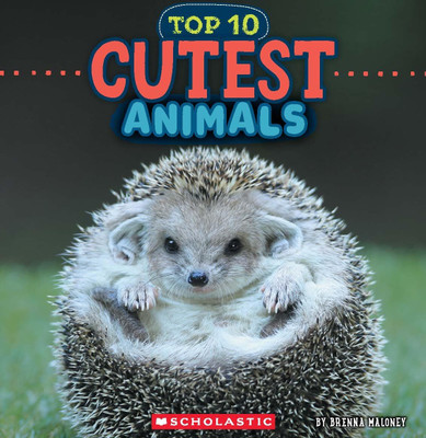 Cutest Animals (Wild World: Top 10)(Paperback, Brenna Maloney)