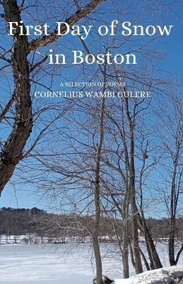 First Day of Snow in Boston(English, Paperback, Gulere Cornelius Wambi)