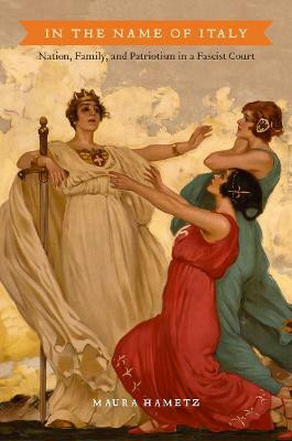 In the Name of Italy(English, Hardcover, Hametz Maura)