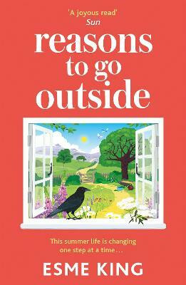Reasons To Go Outside(English, Paperback, King Esme)
