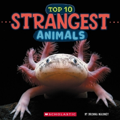 Strangest Animals (Wild World: Top 10)(English, Hardcover, Maloney Brenna)