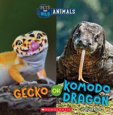 Gecko or Komodo Dragon (Wild World: Pets and Wild Animals)(English, Paperback, Maloney Brenna)