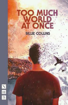 Too Much World at Once(English, Paperback, Collins Billie)