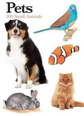 Pets(English, Paperback, Martin Claudia)