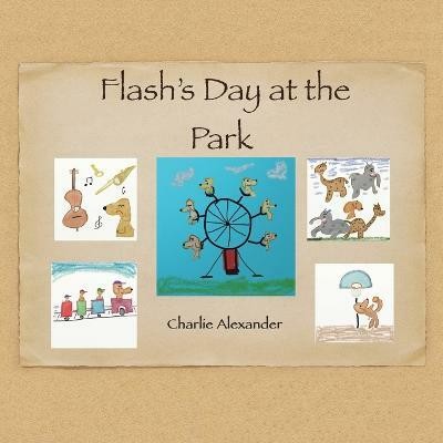 Flash's Day at the Park(English, Paperback, Alexander Charlie)