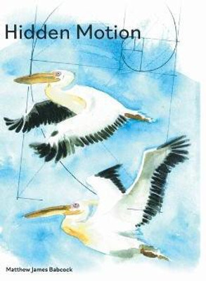 Hidden Motion(English, Hardcover, Babcock Matthew)