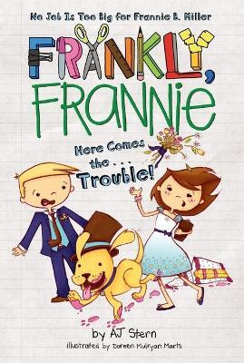 Here Comes the...Trouble!(English, Paperback, Stern AJ)