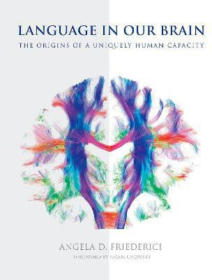 Language in Our Brain(English, Hardcover, Friederici Angela D.)