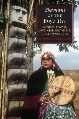 Shamans of the Foye Tree(English, Paperback, Bacigalupo Ana Mariella)